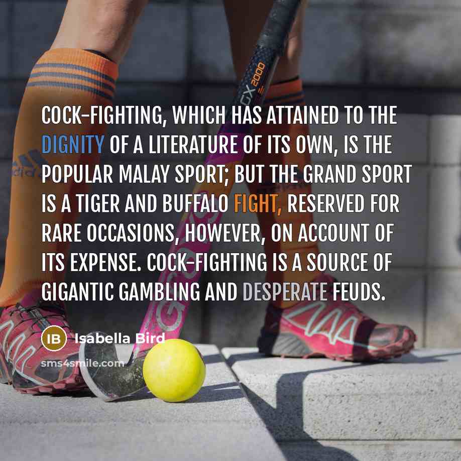 “Cock-fighting, which has attained to the dignity of a literature of its own, is the popular Malay sport; but the grand sport is a tiger and buffalo fight, reserved for rare occasions, however, on account of its expense. Cock-fighting is a source of gigantic gambling and desperate feuds.” quote by Isabella Bird
