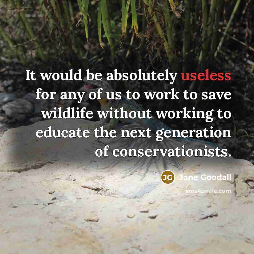 “It would be absolutely useless for any of us to work to save wildlife without working to educate the next generation of conservationists.” quote by Jane Goodall