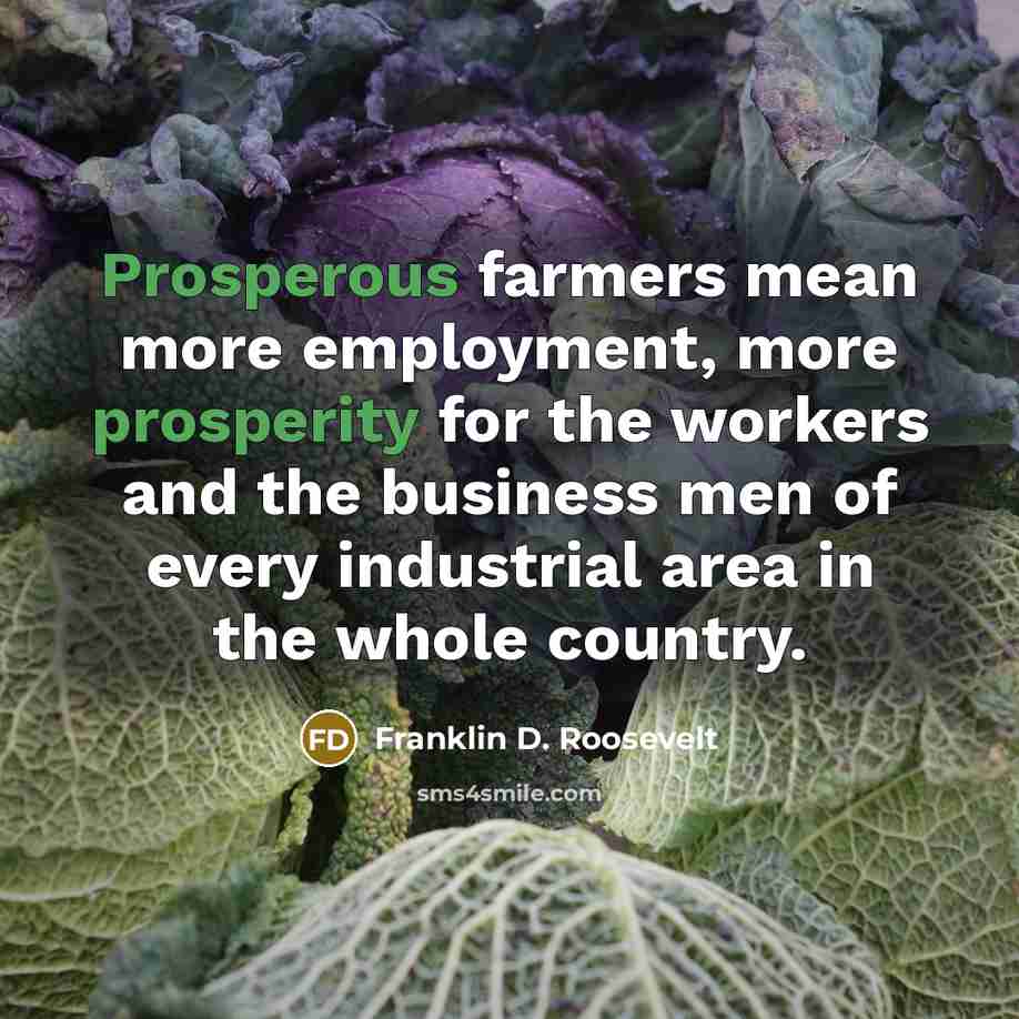“Prosperous farmers mean more employment, more prosperity for the workers and the business men of every industrial area in the whole country.” quote by Franklin D. Roosevelt