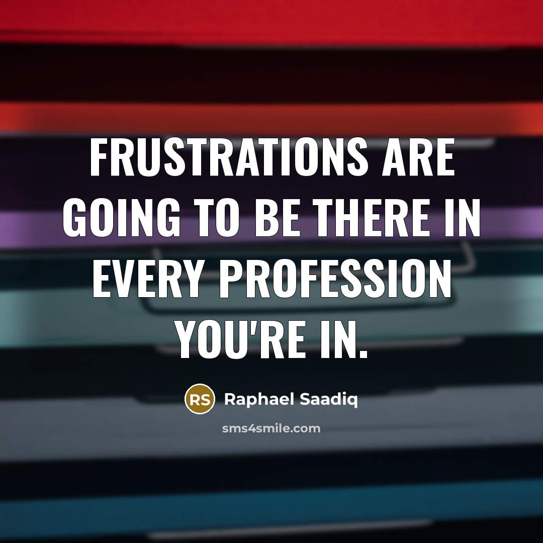“Frustrations are going to be there in every profession you're in.” quote by Raphael Saadiq