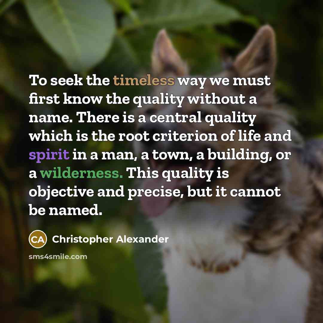 “To seek the timeless way we must first know the quality without a name. There is a central quality which is the root criterion of life and spirit in a man, a town, a building, or a wilderness. This quality is objective and precise, but it cannot be named.” quote by Christopher Alexander