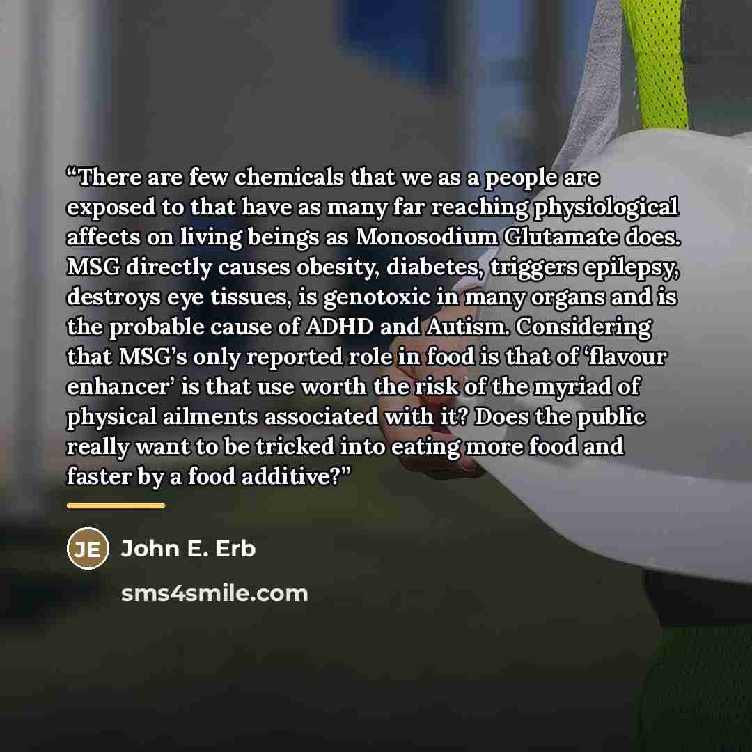 “There are few chemicals that we as a people are exposed to that have as many far reaching physiological affects on living beings as Monosodium Glutamate does. MSG directly causes obesity, diabetes, triggers epilepsy, destroys eye tissues, is genotoxic in many organs and is the probable cause of…” quote by John E. Erb