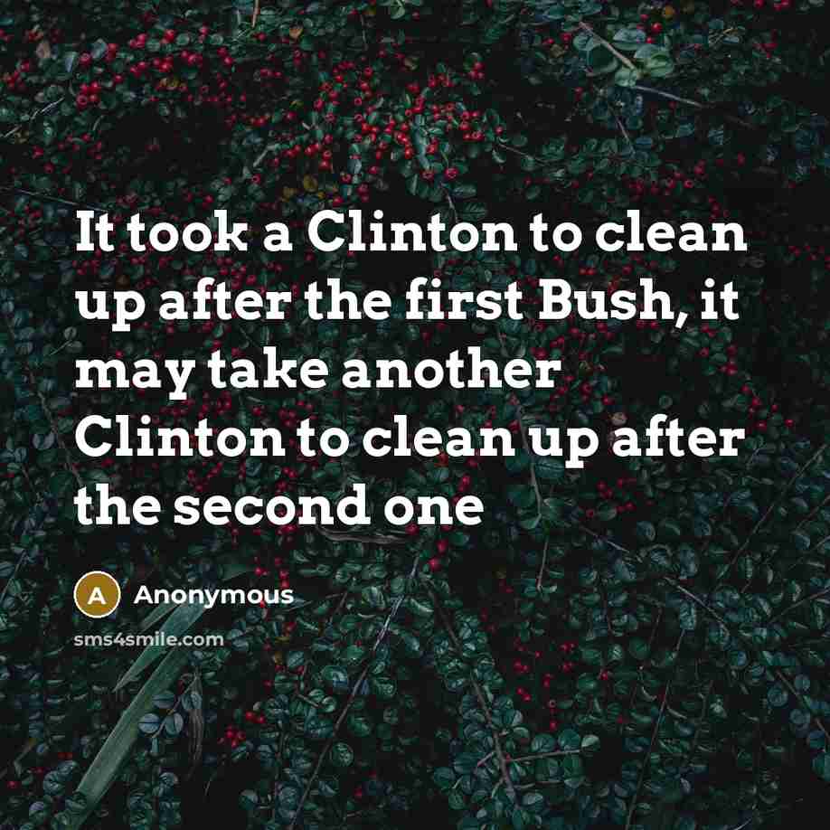 “It took a Clinton to clean up after the first Bush, it may take another Clinton to clean up after the second one” quote by Anonymous