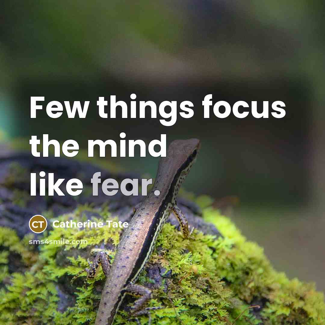 “Few things focus the mind like fear.” quote by Catherine Tate
