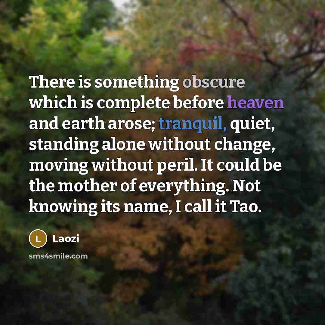 “There is something obscure which is complete before heaven and earth arose; tranquil, quiet, standing alone without change, moving without peril. It could be the mother of everything. Not knowing its name, I call it Tao.” quote by Laozi