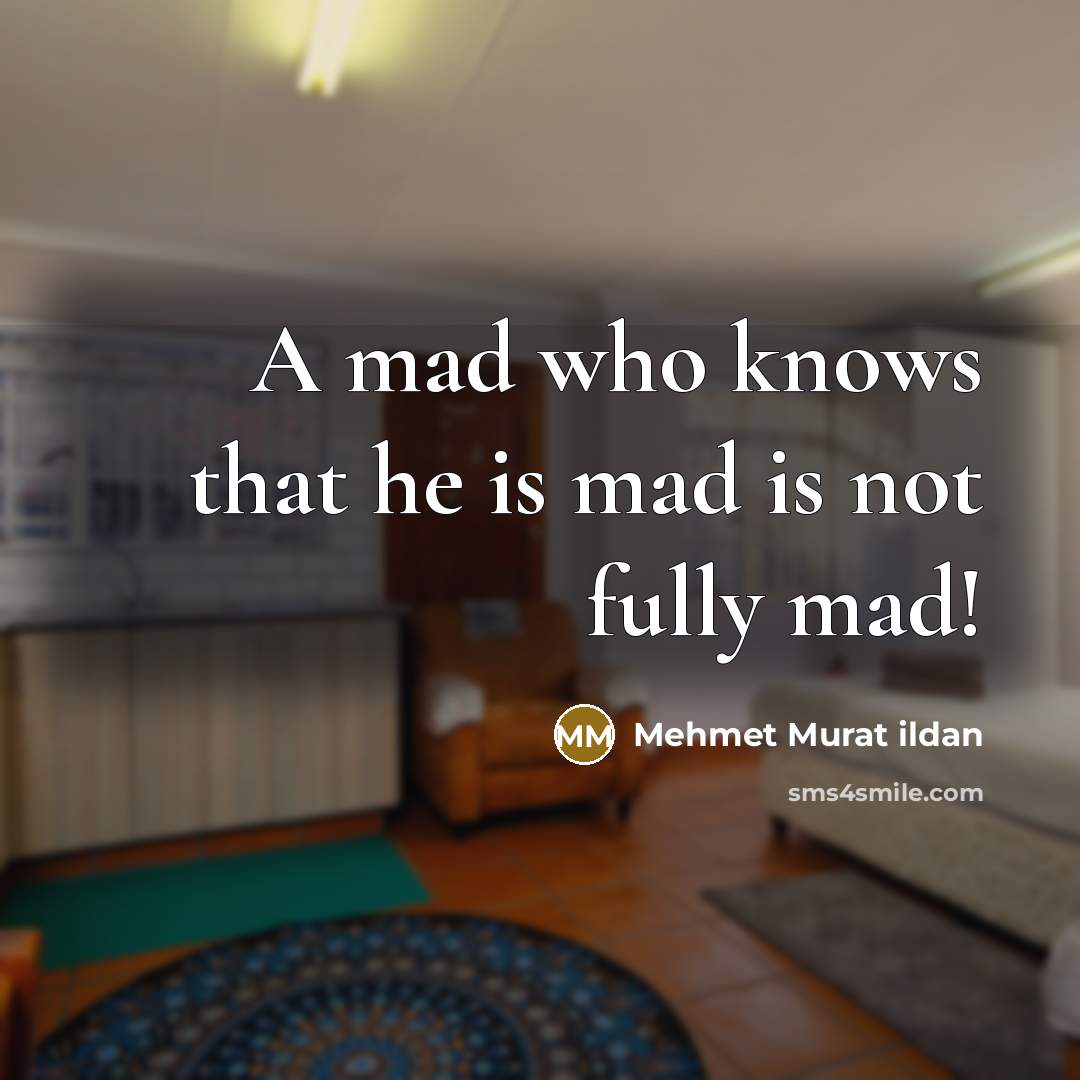 “A mad who knows that he is mad is not fully mad!” quote by Mehmet Murat Ildan