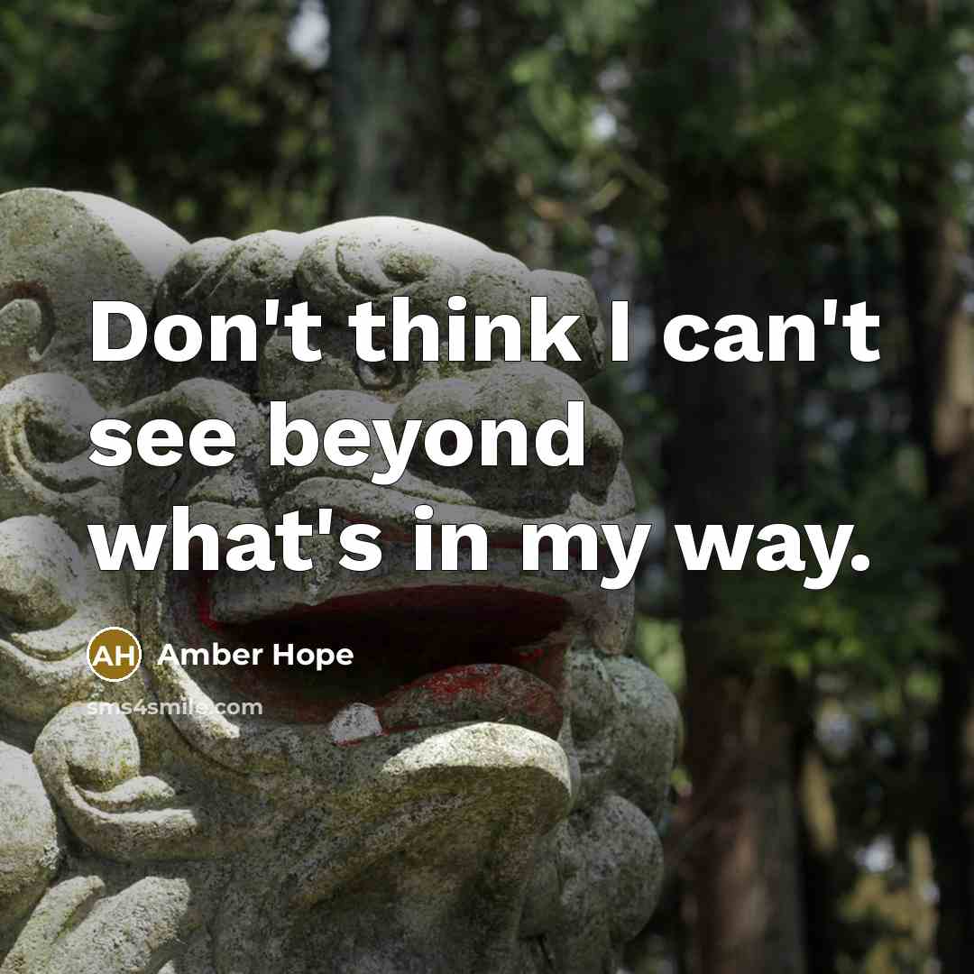 “Don't think I can't see beyond what's in my way.” quote by Amber Hope