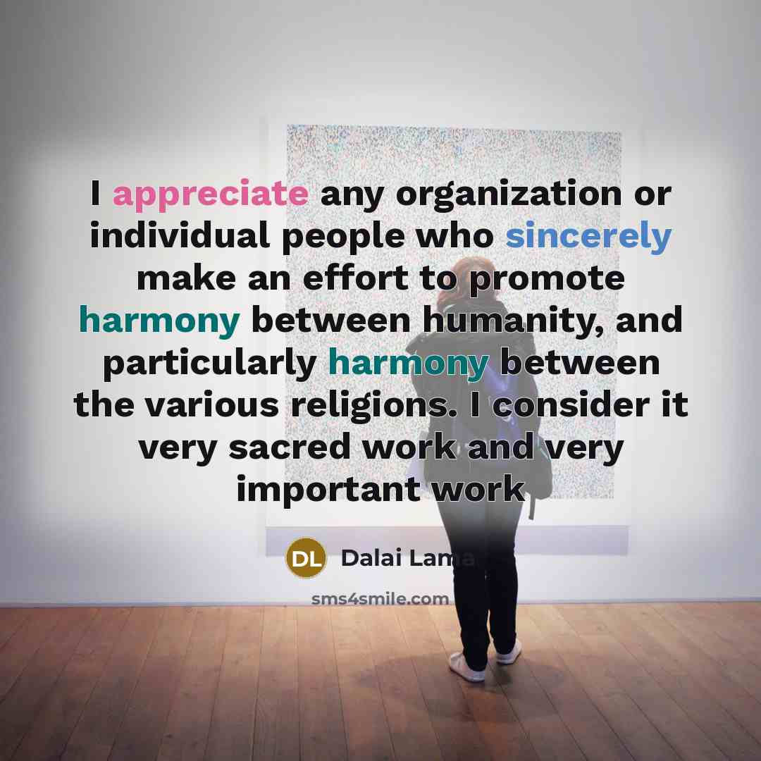 “I appreciate any organization or individual people who sincerely make an effort to promote harmony between humanity, and particularly harmony between the various religions. I consider it very sacred work and very important work” quote by Dalai Lama