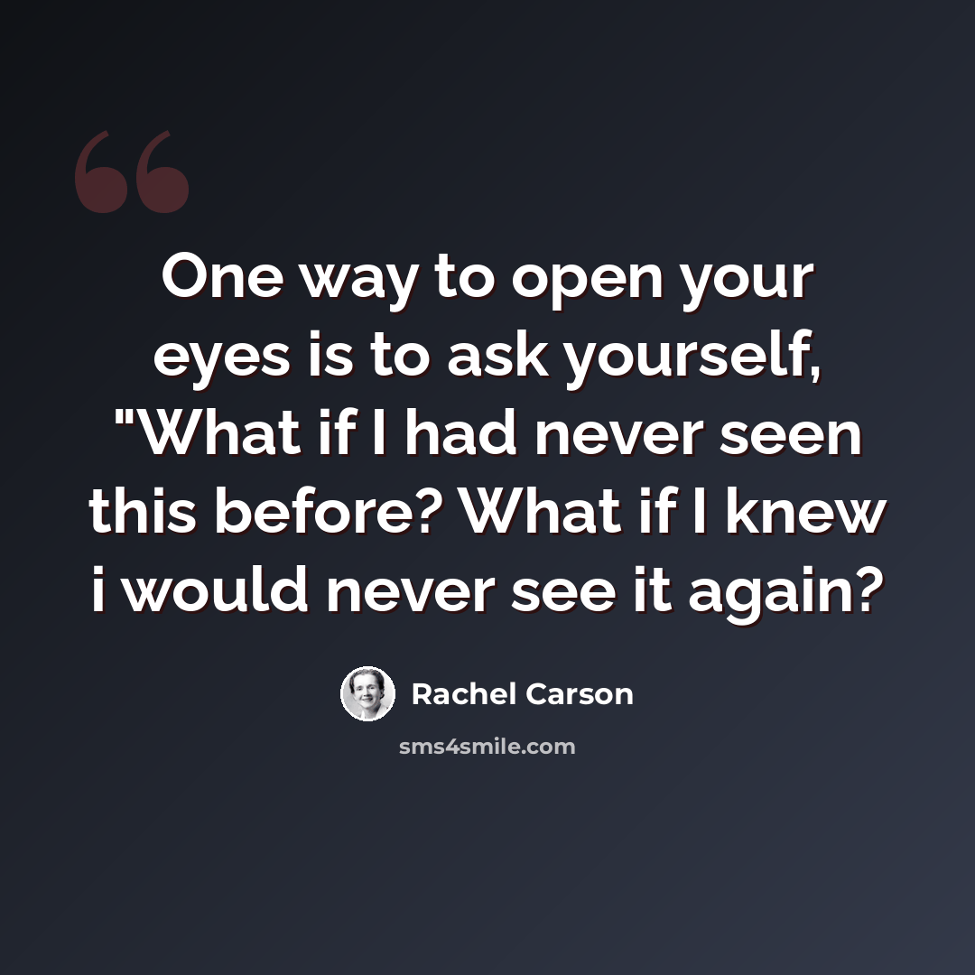 “One way to open your eyes is to ask yourself, "What if I had never seen this before? What if I knew i would never see it again?” quote by Rachel Carson