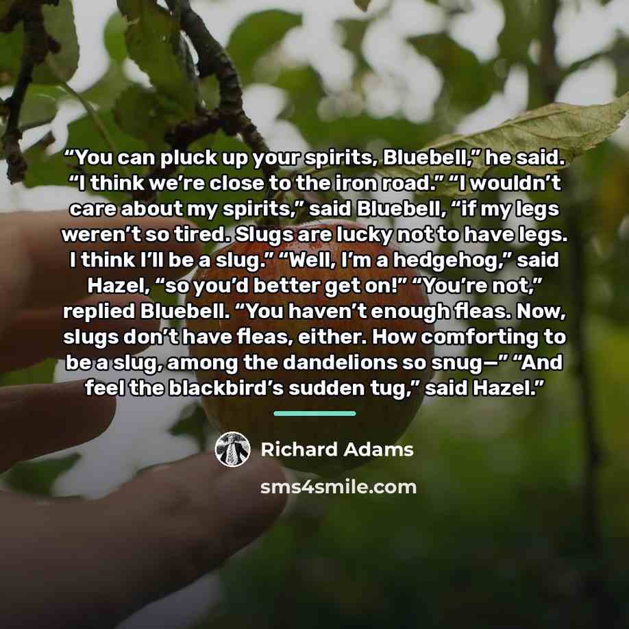 “You can pluck up your spirits, Bluebell,” he said. “I think we’re close to the iron road.” “I wouldn’t care about my spirits,” said Bluebell, “if my legs weren’t so tired. Slugs are lucky not to have legs. I think I’ll be a slug.” “Well, I’m a hedgehog,” said Hazel, “so you’d better get on!”…” quote by Richard Adams