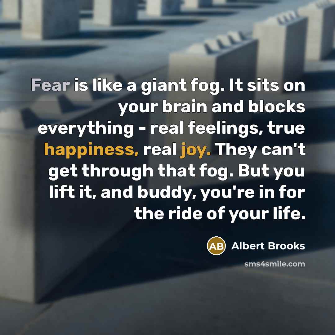 “Fear is like a giant fog. It sits on your brain and blocks everything - real feelings, true happiness, real joy. They can't get through that fog. But you lift it, and buddy, you're in for the ride of your life.” quote by Albert Brooks