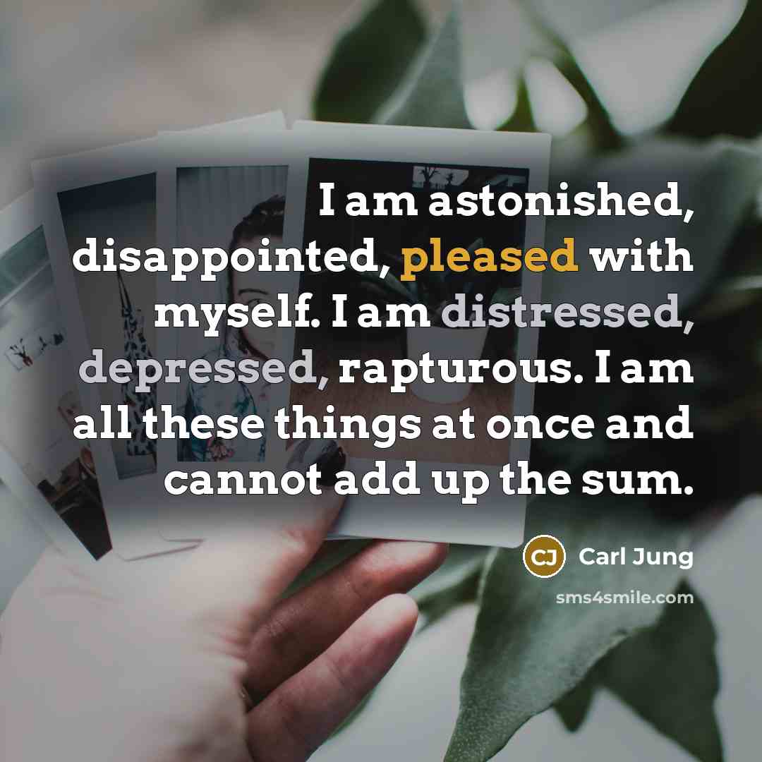 “I am astonished, disappointed, pleased with myself. I am distressed, depressed, rapturous. I am all these things at once and cannot add up the sum.” quote by Carl Jung