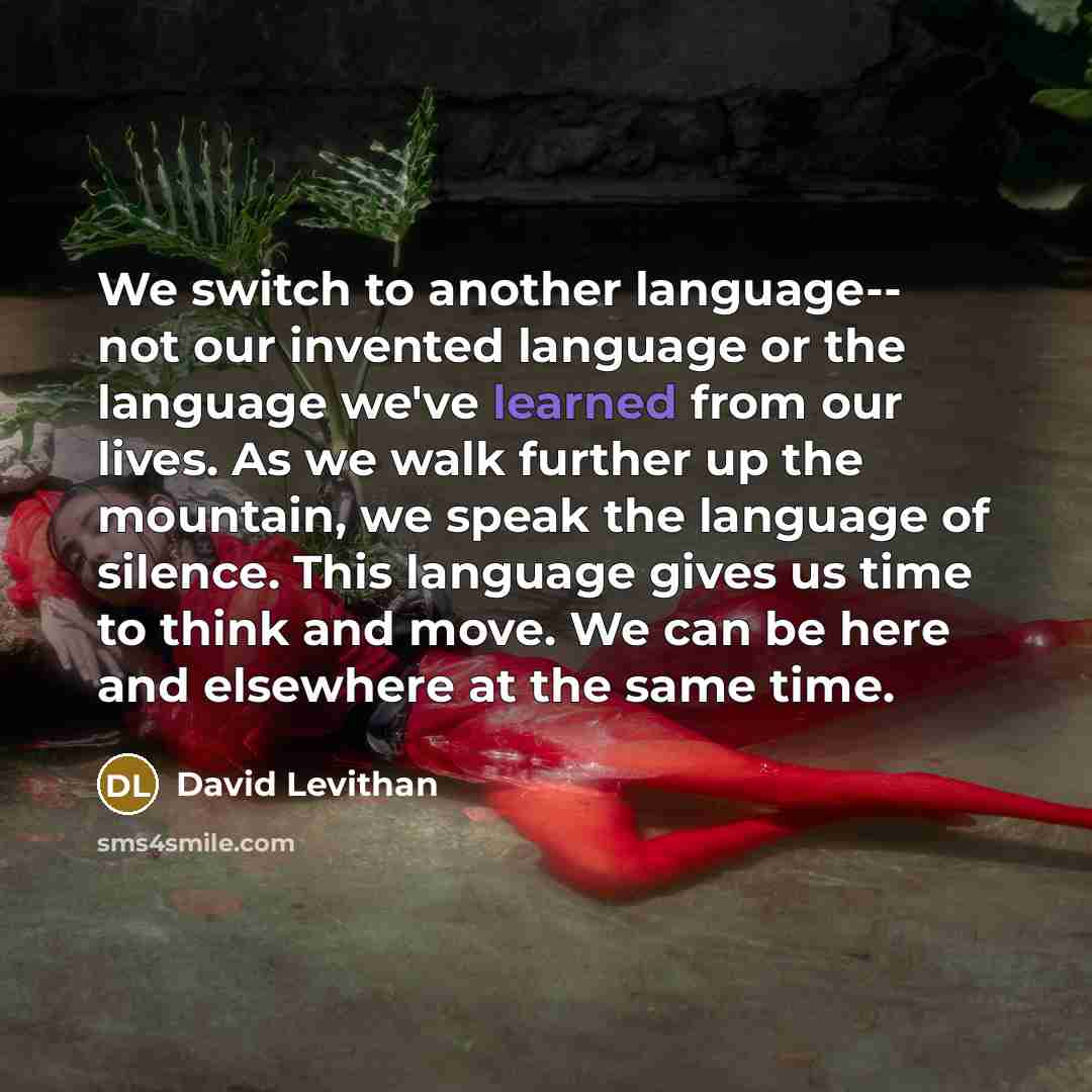 “We switch to another language-- not our invented language or the language we've learned from our lives. As we walk further up the mountain, we speak the language of silence. This language gives us time to think and move. We can be here and elsewhere at the same time.” quote by David Levithan