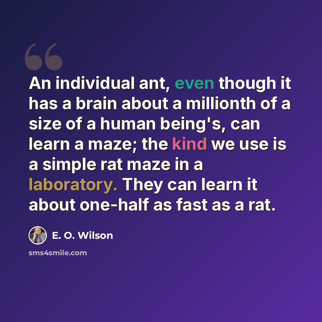 “An individual ant, even though it has a brain about a millionth of a size of a human being's, can learn a maze; the kind we use is a simple rat maze in a laboratory. They can learn it about one-half as fast as a rat.” quote by E. O. Wilson