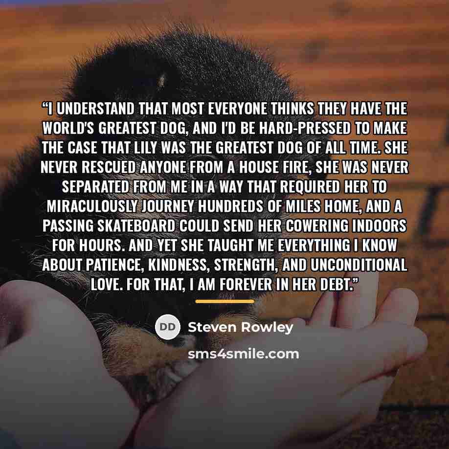 “I understand that most everyone thinks they have the world's greatest dog, and I'd be hard-pressed to make the case that Lily was the greatest dog of all time. She never rescued anyone from a house fire, she was never separated from me in a way that required her to miraculously journey hundreds of…” quote by Steven Rowley