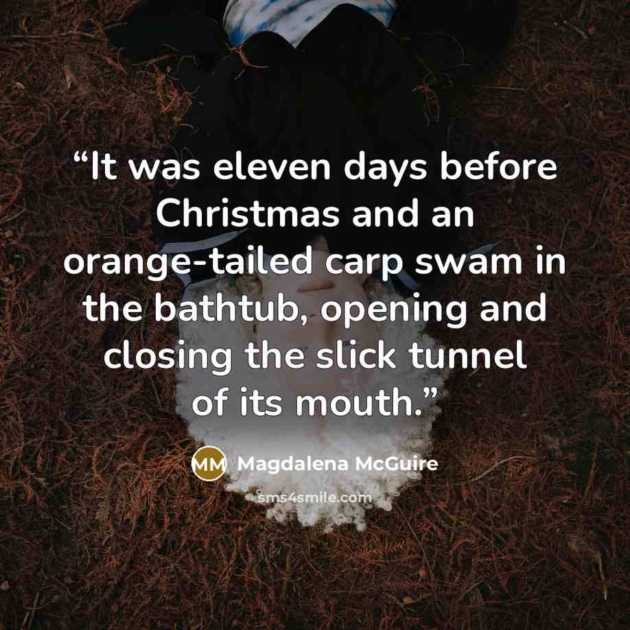 “It was eleven days before Christmas and an orange-tailed carp swam in the bathtub, opening and closing the slick tunnel of its mouth.” quote by Magdalena McGuire
