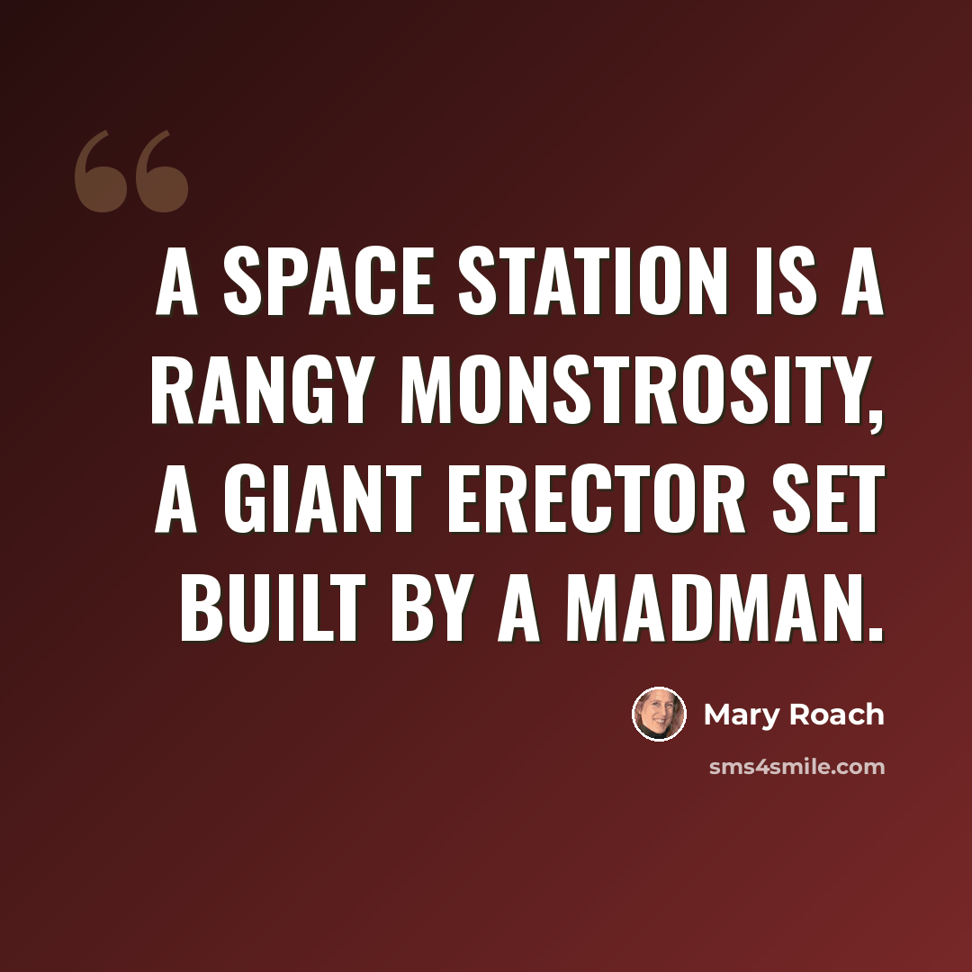 “A space station is a rangy monstrosity, a giant erector set built by a madman.” quote by Mary Roach