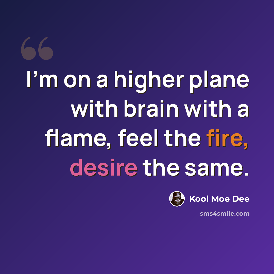 “I'm on a higher plane with brain with a flame, feel the fire, desire the same.” quote by Kool Moe Dee