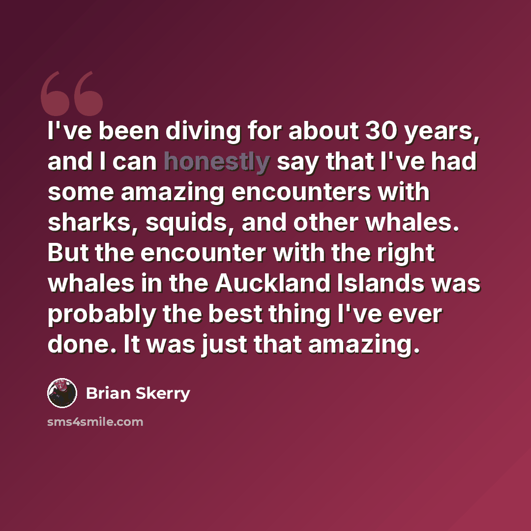 “I've been diving for about 30 years, and I can honestly say that I've had some amazing encounters with sharks, squids, and other whales. But the encounter with the right whales in the Auckland Islands was probably the best thing I've ever done. It was just that amazing.” quote by Brian Skerry