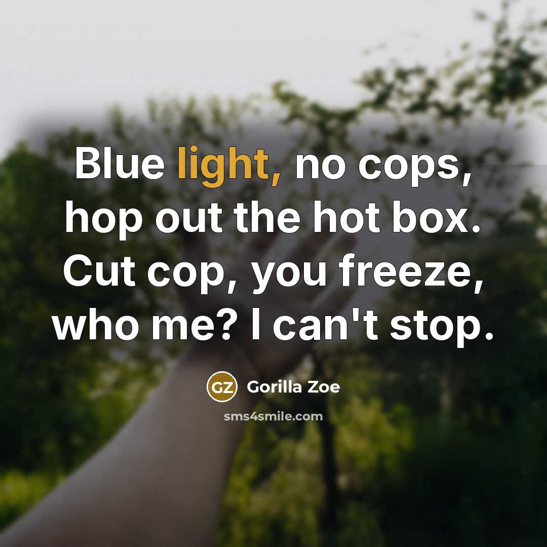 “Blue light, no cops, hop out the hot box. Cut cop, you freeze, who me? I can't stop.” quote by Gorilla Zoe