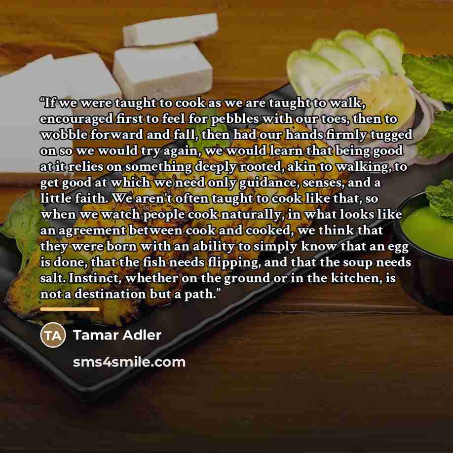 “If we were taught to cook as we are taught to walk, encouraged first to feel for pebbles with our toes, then to wobble forward and fall, then had our hands firmly tugged on so we would try again, we would learn that being good at it relies on something deeply rooted, akin to walking, to get good…” quote by Tamar Adler