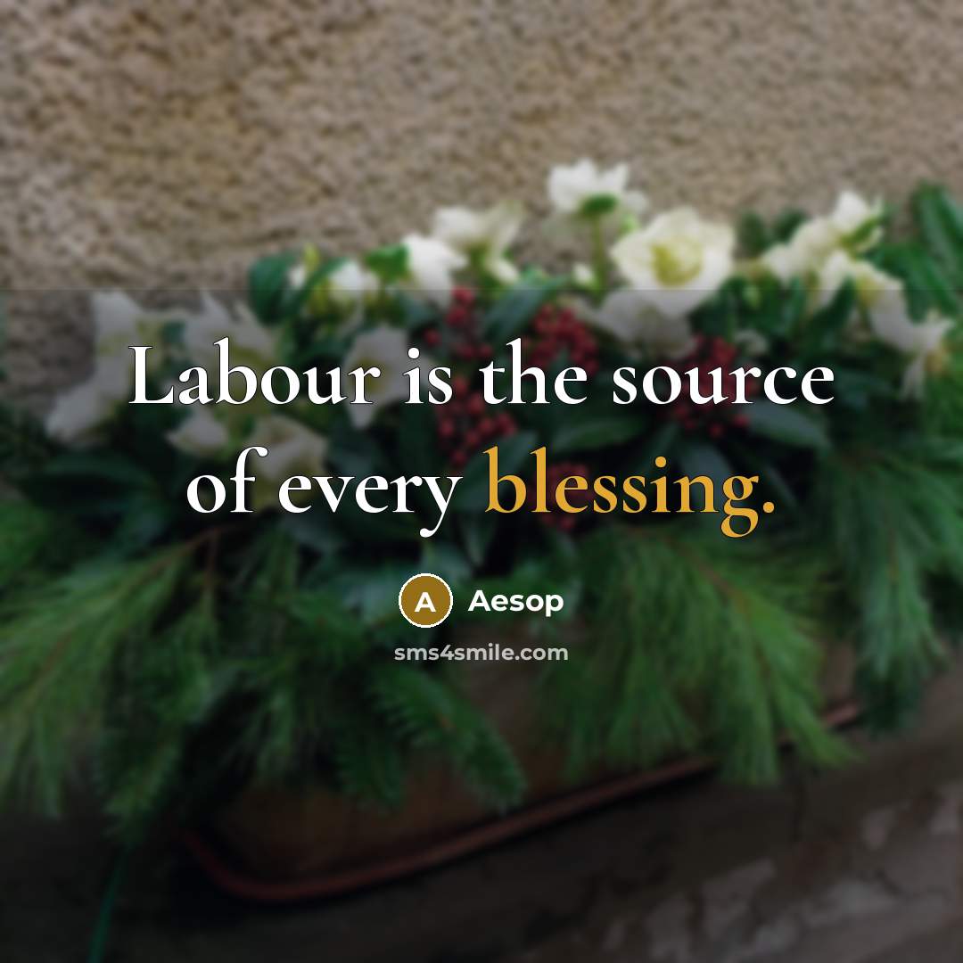 “Labour is the source of every blessing.” quote by Aesop