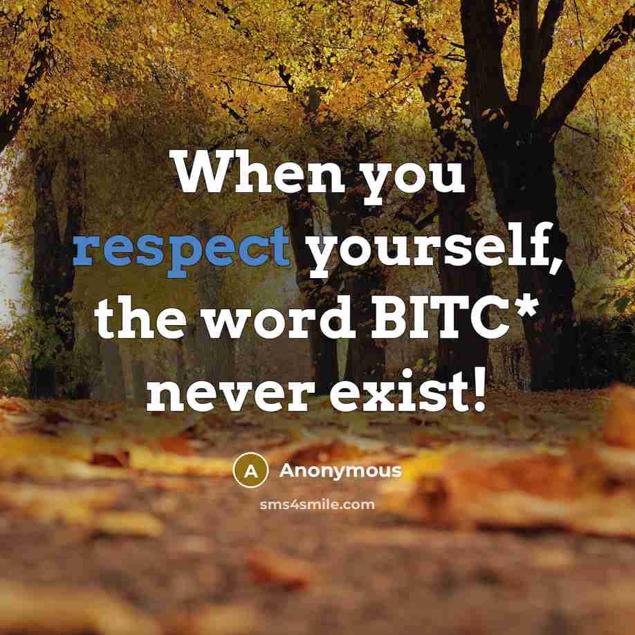 “When you respect yourself, the word BITC* never exist!” quote by Anonymous