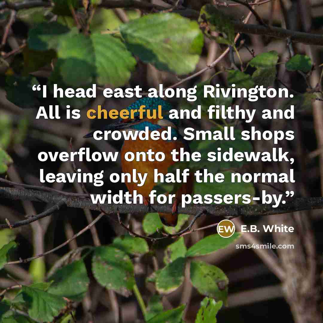 “I head east along Rivington. All is cheerful and filthy and crowded. Small shops overflow onto the sidewalk, leaving only half the normal width for passers-by.” quote by E.B. White