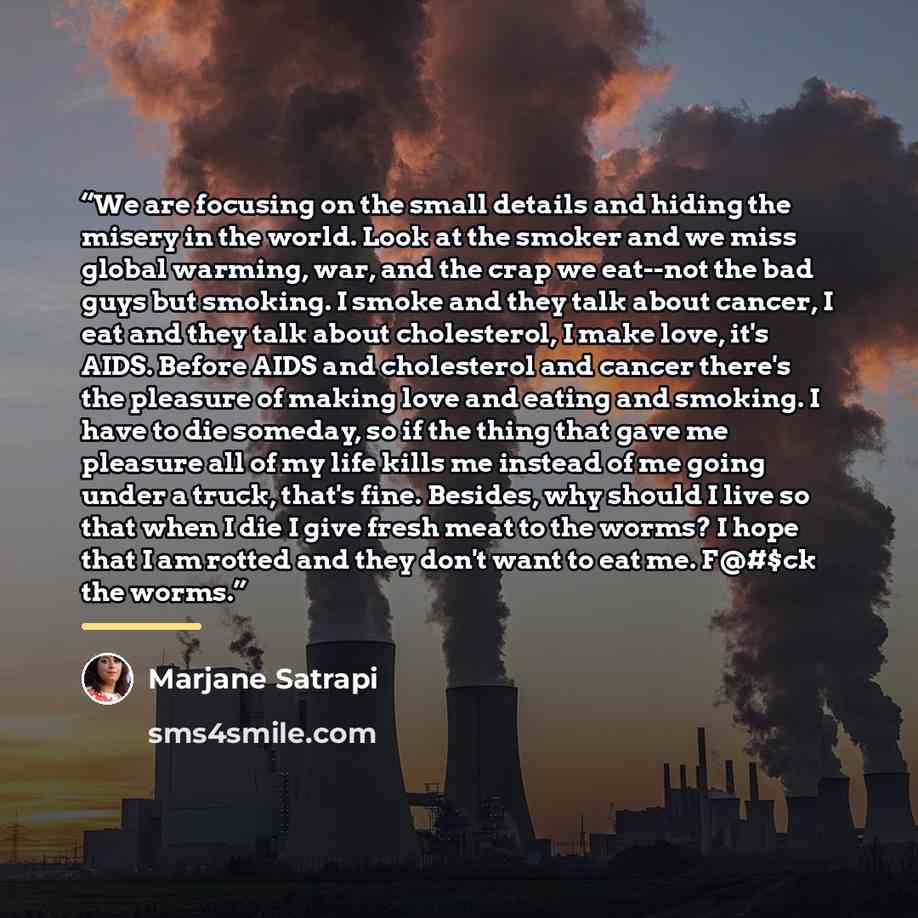 “We are focusing on the small details and hiding the misery in the world. Look at the smoker and we miss global warming, war, and the crap we eat--not the bad guys but smoking. I smoke and they talk about cancer, I eat and they talk about cholesterol, I make love, it's AIDS. Before AIDS and…” quote by Marjane Satrapi