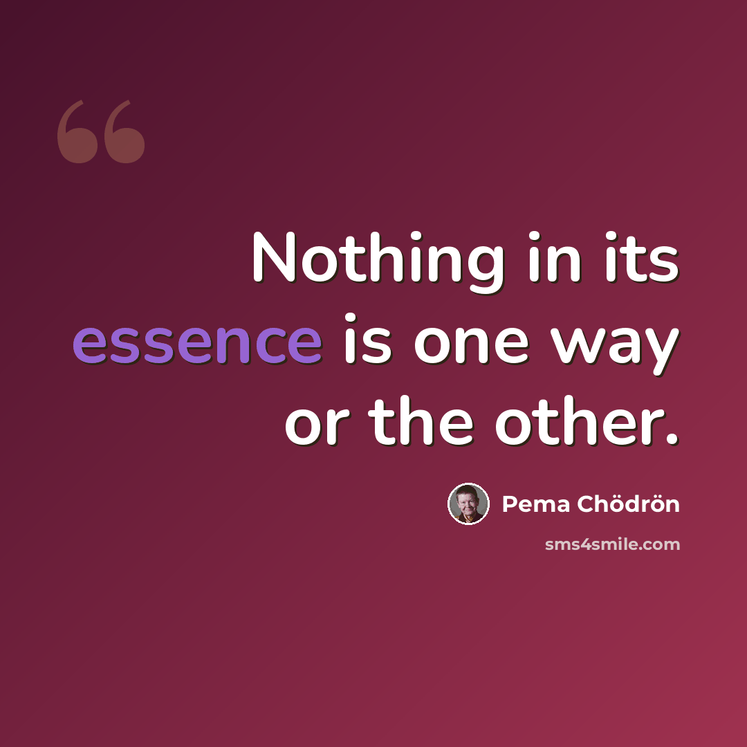 “Nothing in its essence is one way or the other.” quote by Pema Chodron