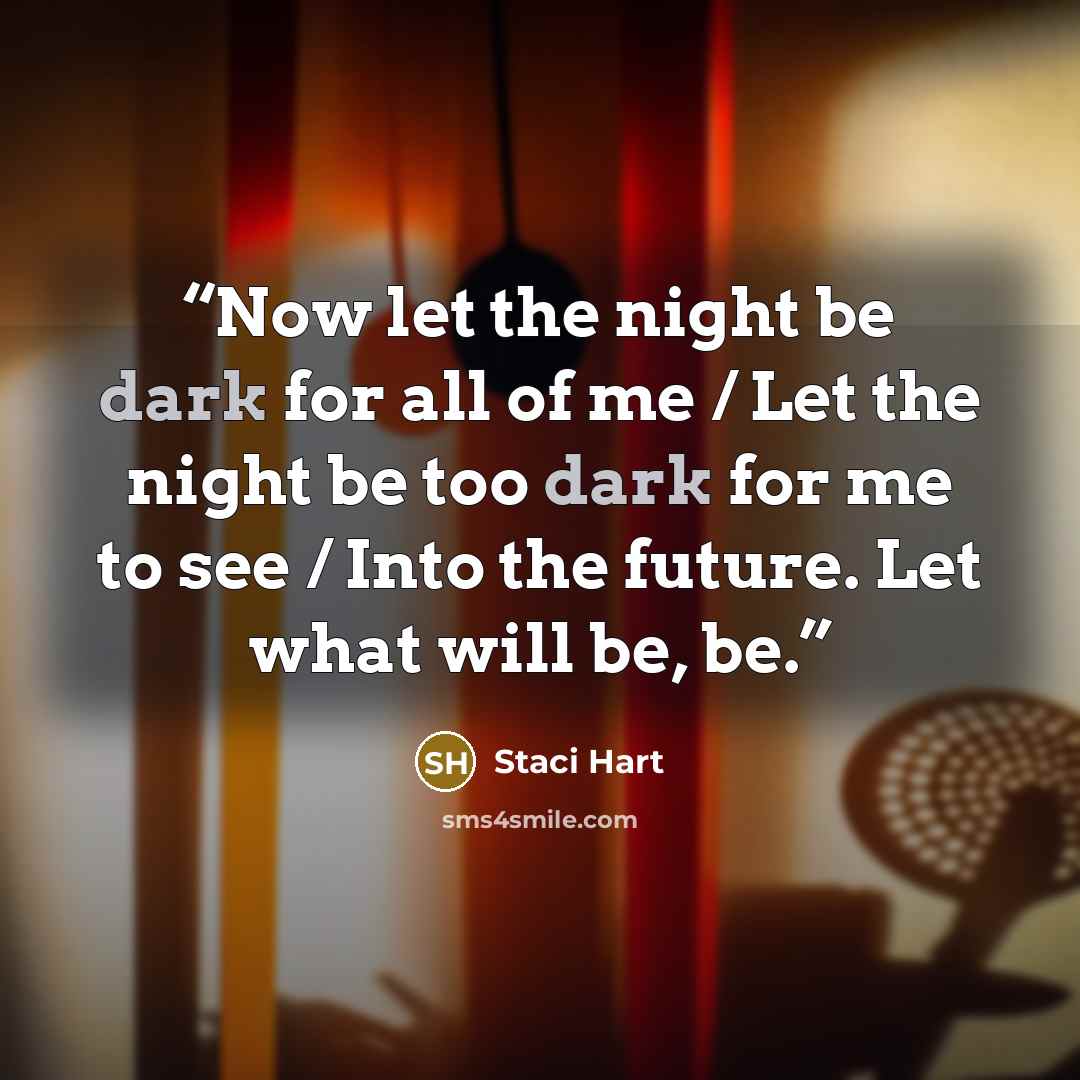 “Now let the night be dark for all of me / Let the night be too dark for me to see / Into the future. Let what will be, be.” quote by Staci Hart