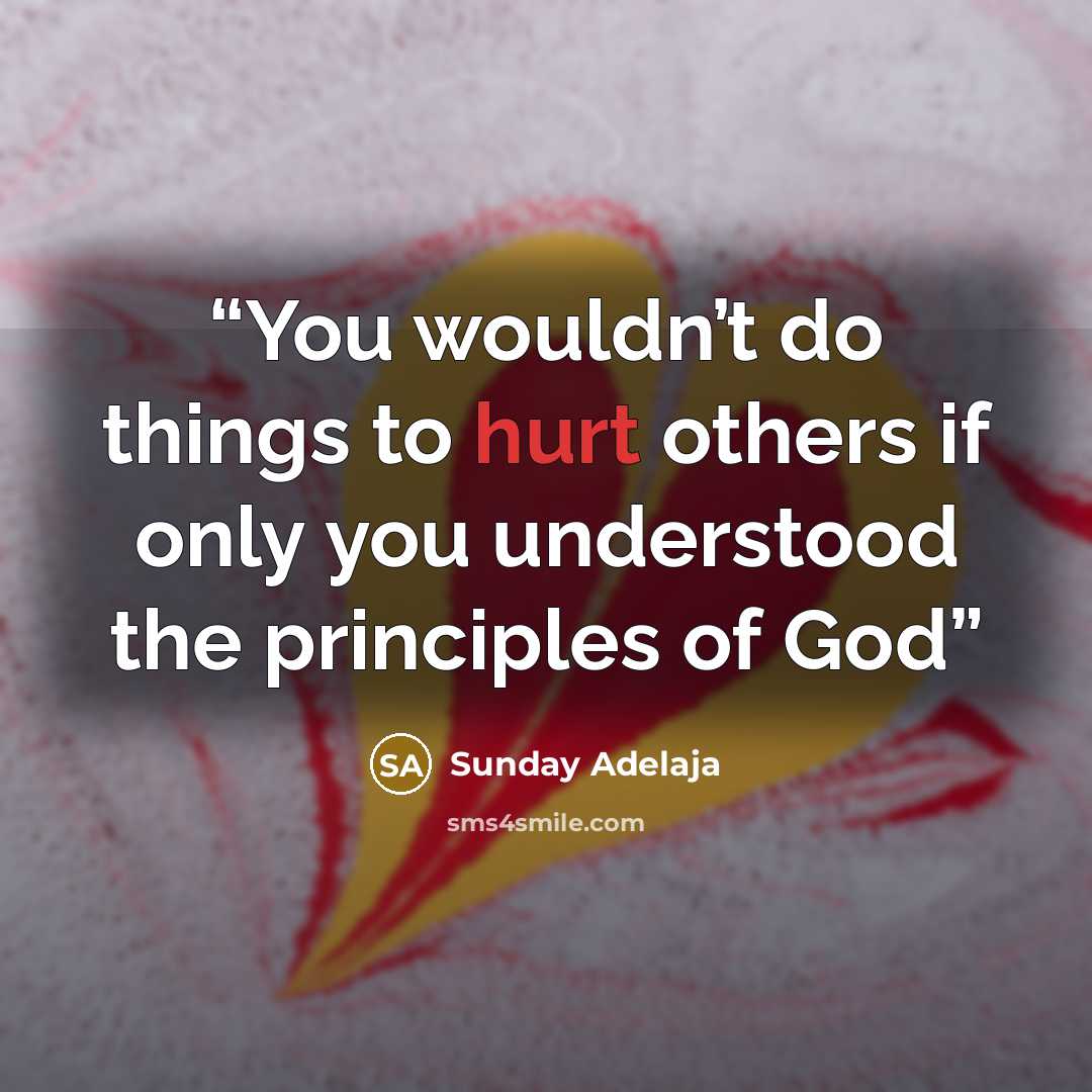 “You wouldn’t do things to hurt others if only you understood the principles of God” quote by Sunday Adelaja