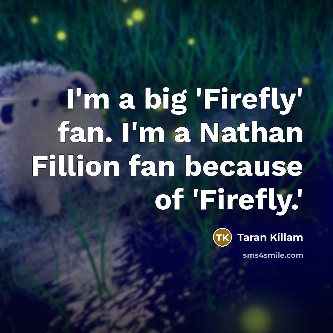 “I'm a big 'Firefly' fan. I'm a Nathan Fillion fan because of 'Firefly.'” quote by Taran Killam