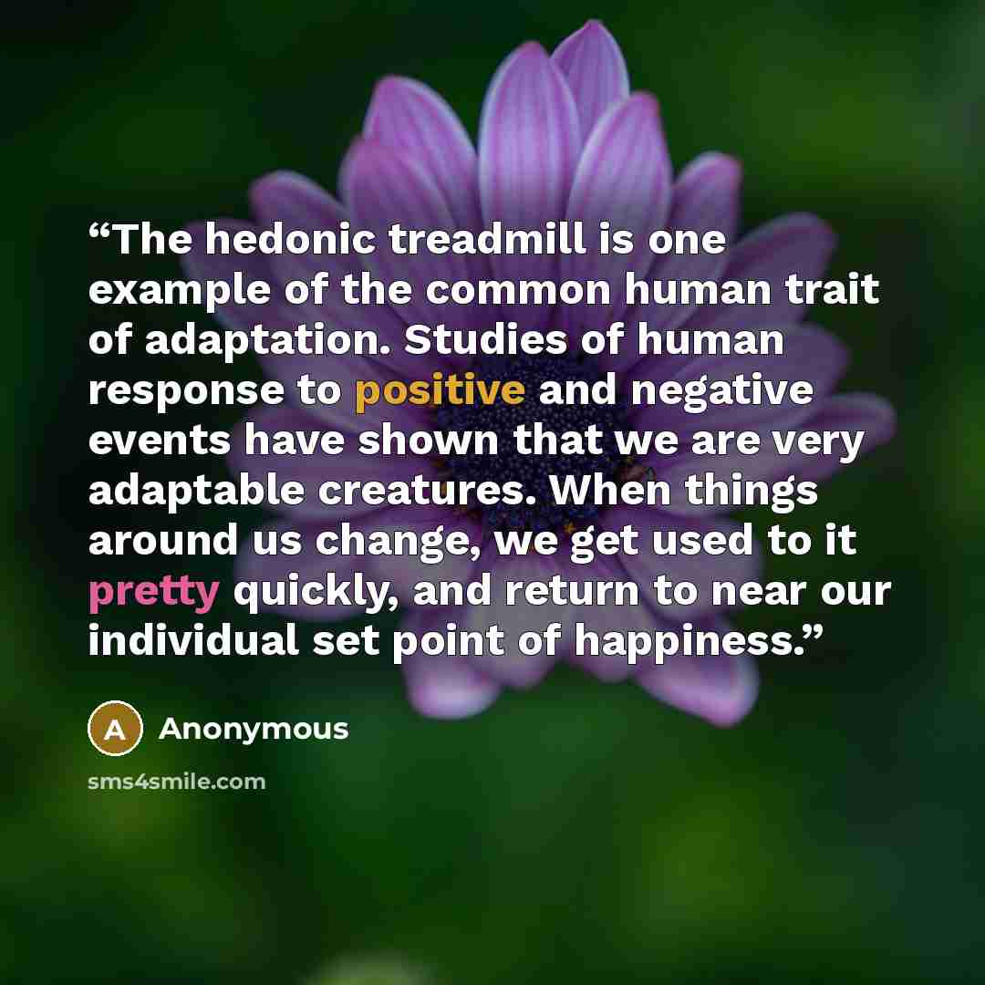 “The hedonic treadmill is one example of the common human trait of adaptation. Studies of human response to positive and negative events have shown that we are very adaptable creatures. When things around us change, we get used to it pretty quickly, and return to near our individual set point of…” quote by Anonymous