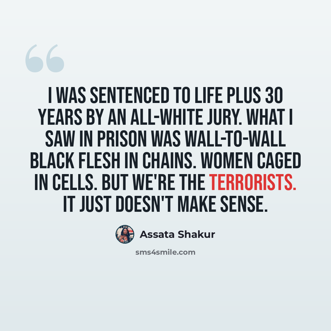 “I was sentenced to life plus 30 years by an all-White jury. What I saw in prison was wall-to-wall Black flesh in chains. Women caged in cells. But we're the terrorists. It just doesn't make sense.” quote by Assata Shakur
