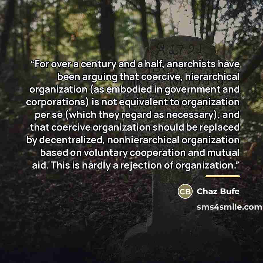 “For over a century and a half, anarchists have been arguing that coercive, hierarchical organization (as embodied in government and corporations) is not equivalent to organization per se (which they regard as necessary), and that coercive organization should be replaced by decentralized…” quote by Chaz Bufe