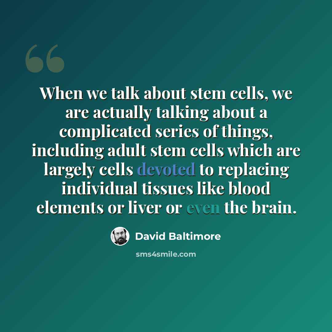 “When we talk about stem cells, we are actually talking about a complicated series of things, including adult stem cells which are largely cells devoted to replacing individual tissues like blood elements or liver or even the brain.” quote by David Baltimore