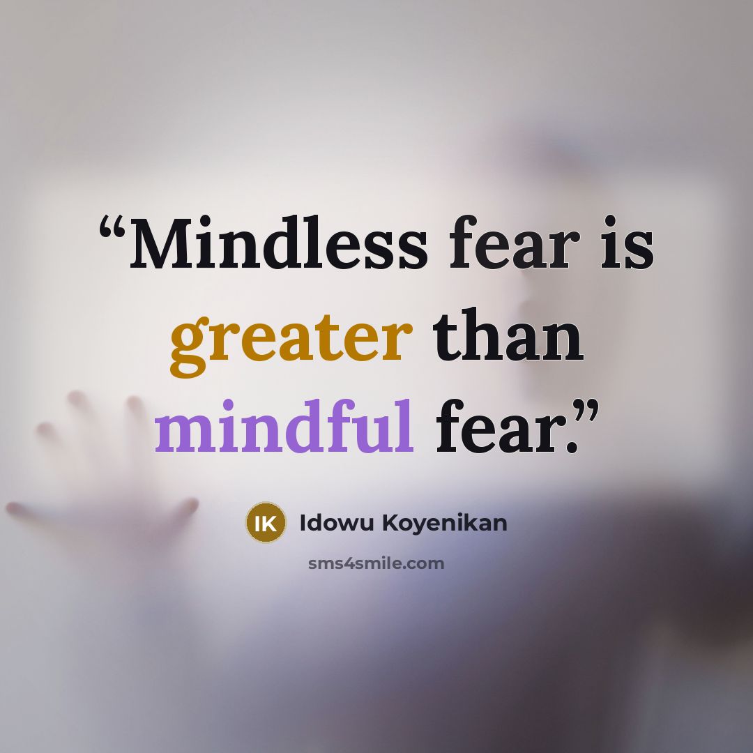 “Mindless fear is greater than mindful fear.” quote by Idowu Koyenikan