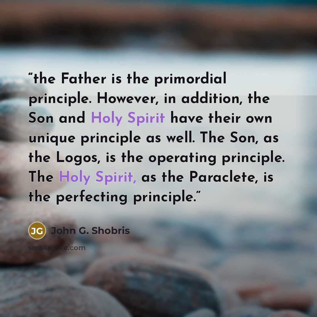 “the Father is the primordial principle. However, in addition, the Son and Holy Spirit have their own unique principle as well. The Son, as the Logos, is the operating principle. The Holy Spirit, as the Paraclete, is the perfecting principle.” quote by John G. Shobris