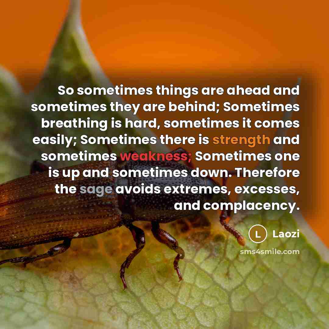 “So sometimes things are ahead and sometimes they are behind; Sometimes breathing is hard, sometimes it comes easily; Sometimes there is strength and sometimes weakness; Sometimes one is up and sometimes down. Therefore the sage avoids extremes, excesses, and complacency.” quote by Laozi