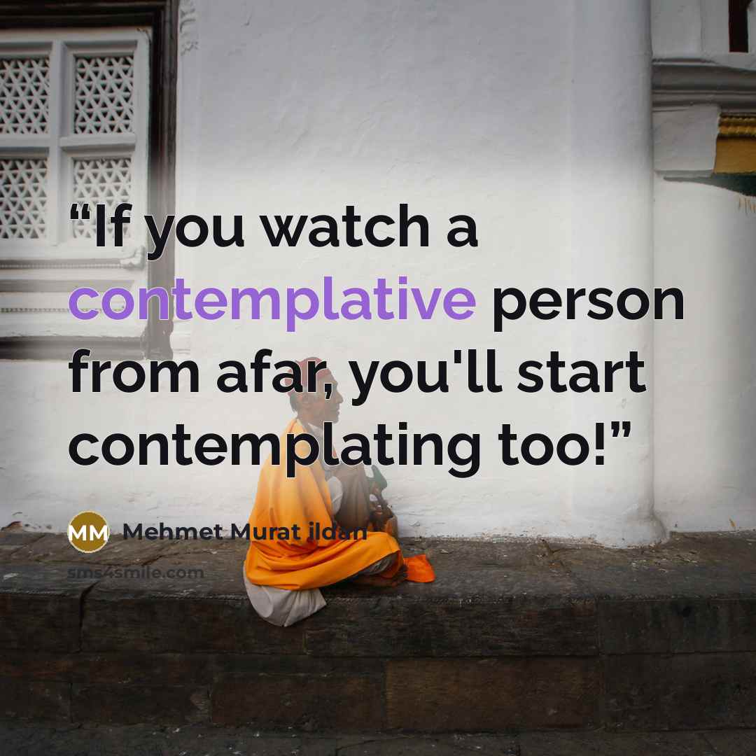 “If you watch a contemplative person from afar, you'll start contemplating too!” quote by Mehmet Murat ildan