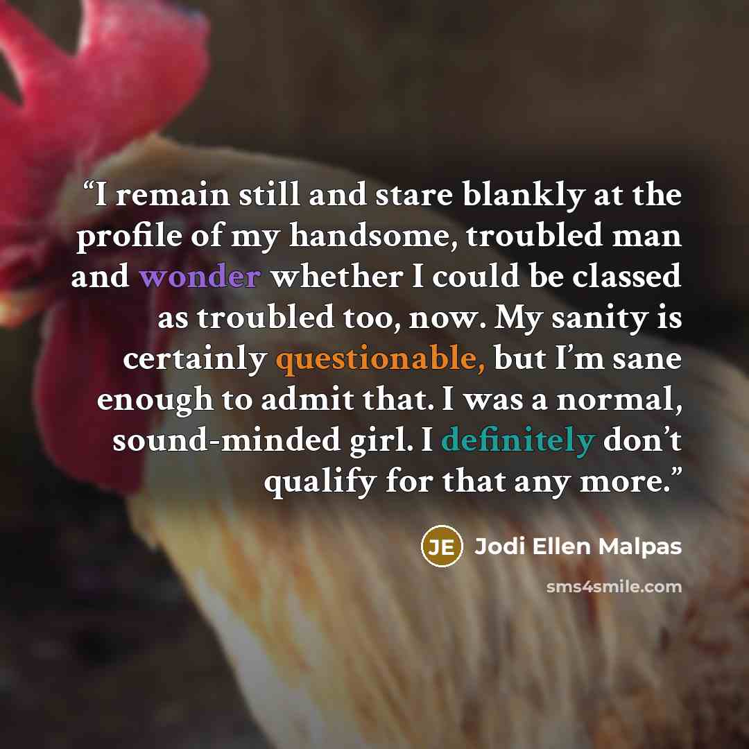 “I remain still and stare blankly at the profile of my handsome, troubled man and wonder whether I could be classed as troubled too, now. My sanity is certainly questionable, but I’m sane enough to admit that. I was a normal, sound-minded girl. I definitely don’t qualify for that any more.” quote by Jodi Ellen Malpas