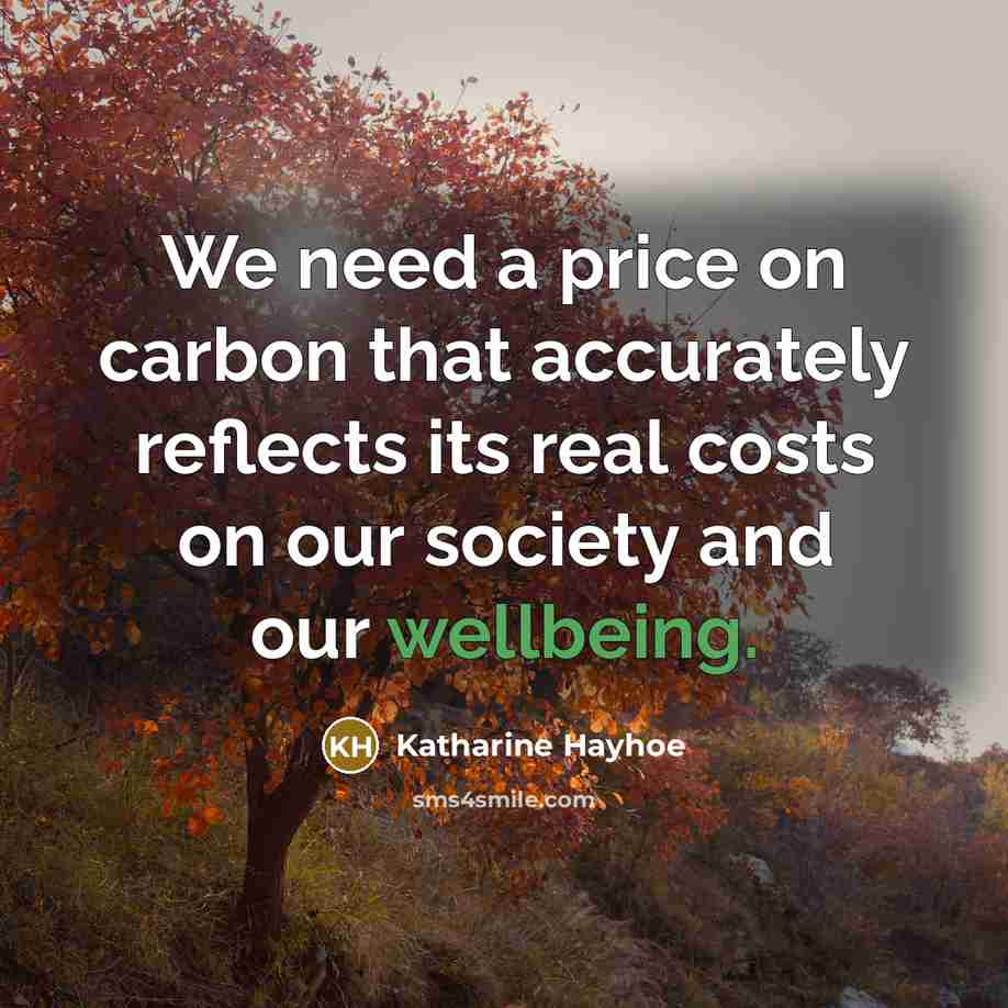 “We need a price on carbon that accurately reflects its real costs on our society and our wellbeing.” quote by Katharine Hayhoe