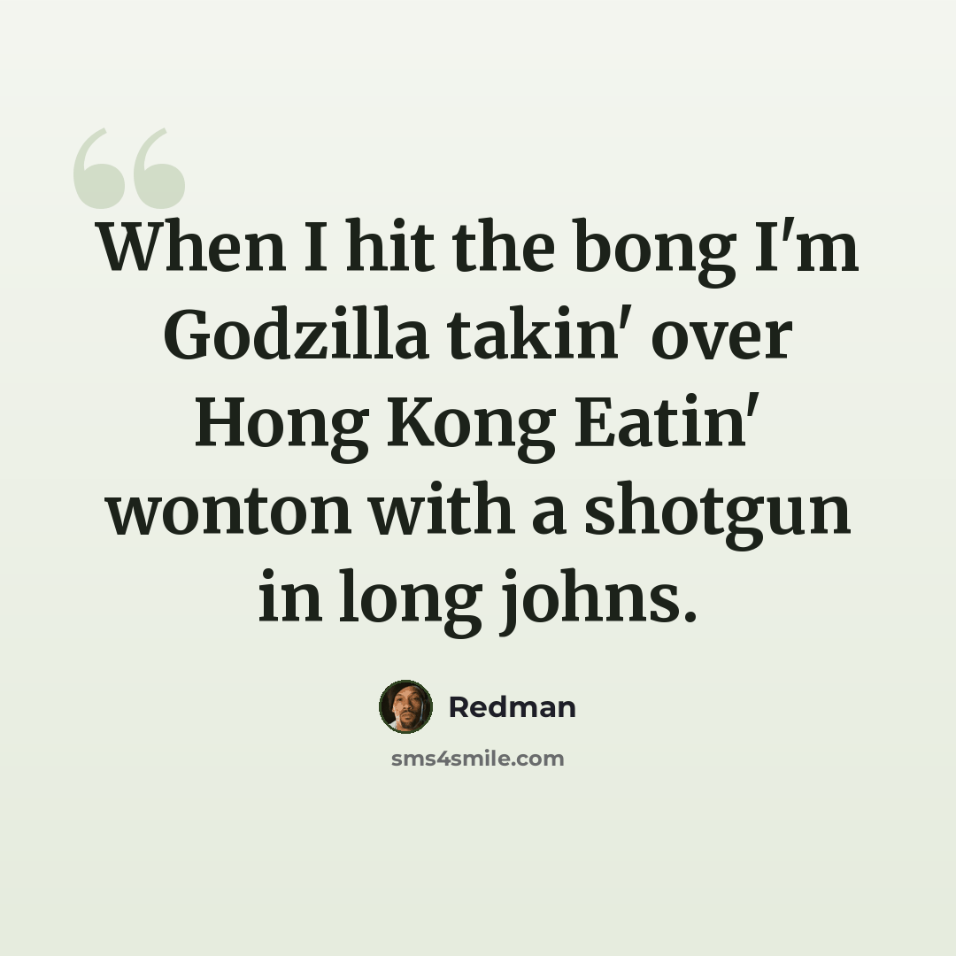“When I hit the bong I'm Godzilla takin' over Hong Kong Eatin' wonton with a shotgun in long johns.” quote by Redman
