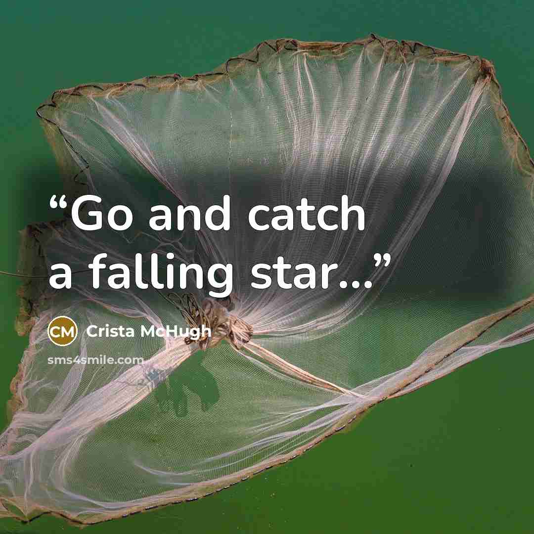 “Go and catch a falling star…” quote by Crista McHugh