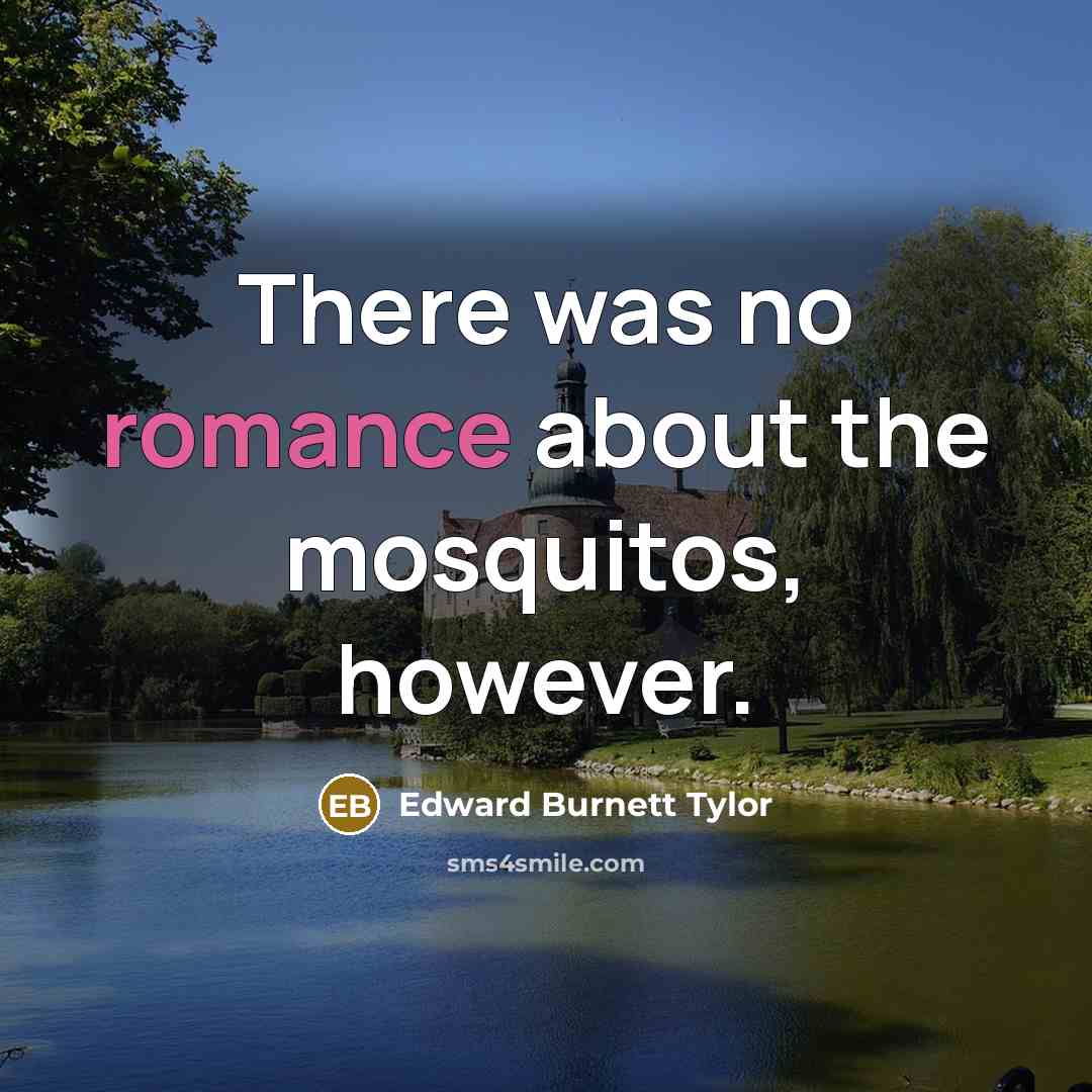 “There was no romance about the mosquitos, however.” quote by Edward Burnett Tylor