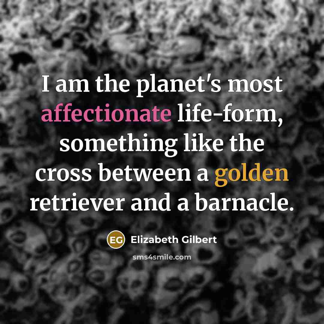 “I am the planet's most affectionate life-form, something like the cross between a golden retriever and a barnacle.” quote by Elizabeth Gilbert