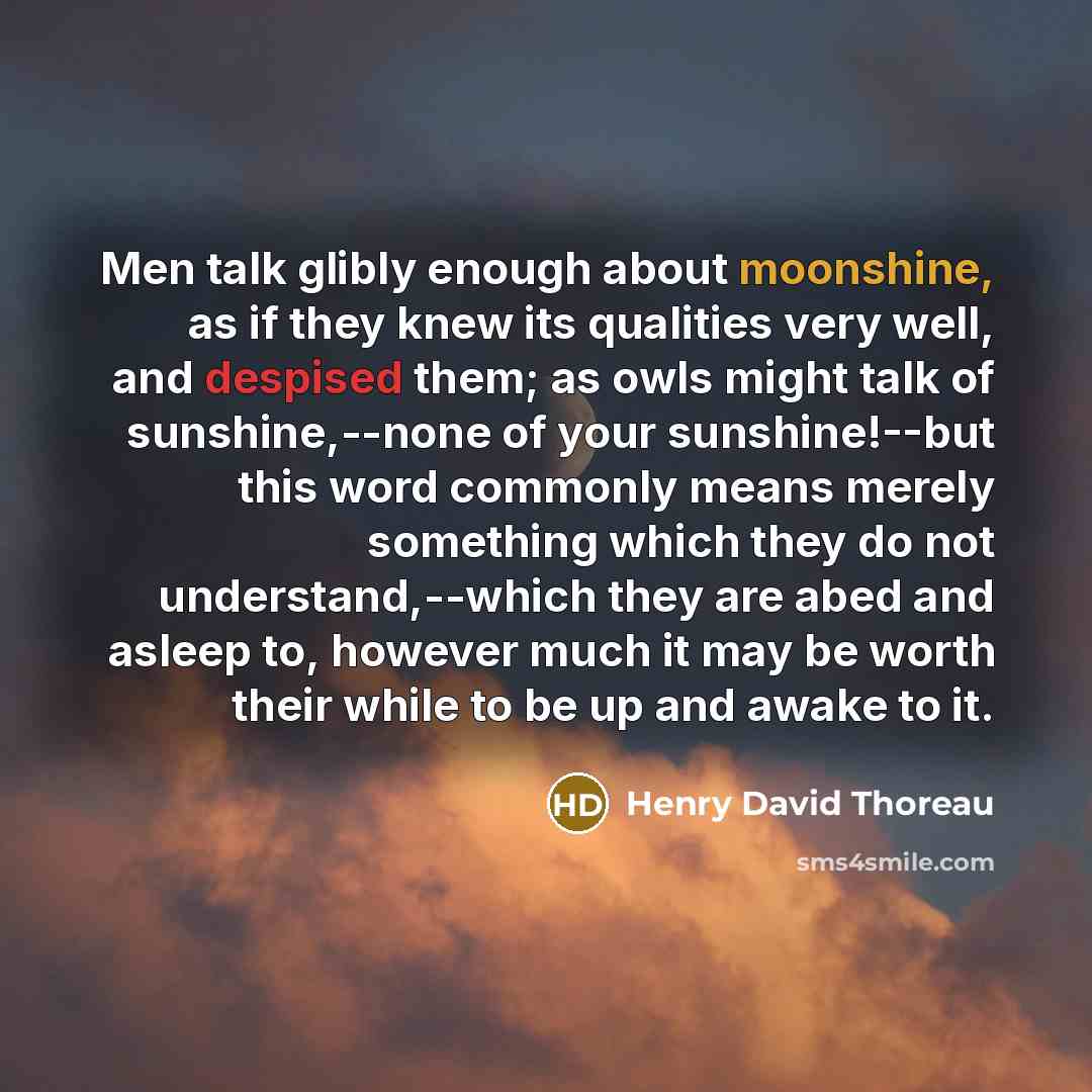 “Men talk glibly enough about moonshine, as if they knew its qualities very well, and despised them; as owls might talk of sunshine,--none of your sunshine!--but this word commonly means merely something which they do not understand,--which they are abed and asleep to, however much it may be worth…” quote by Henry David Thoreau