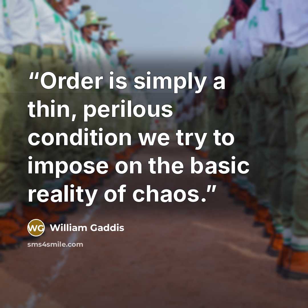 “Order is simply a thin, perilous condition we try to impose on the basic reality of chaos.” quote by William Gaddis