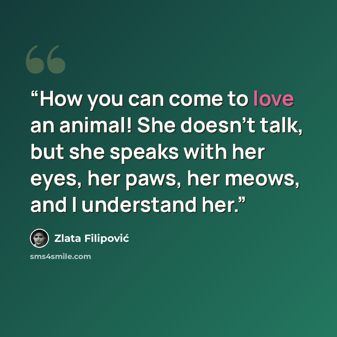 “How you can come to love an animal! She doesn't talk, but she speaks with her eyes, her paws, her meows, and I understand her.” quote by Zlata Filipović